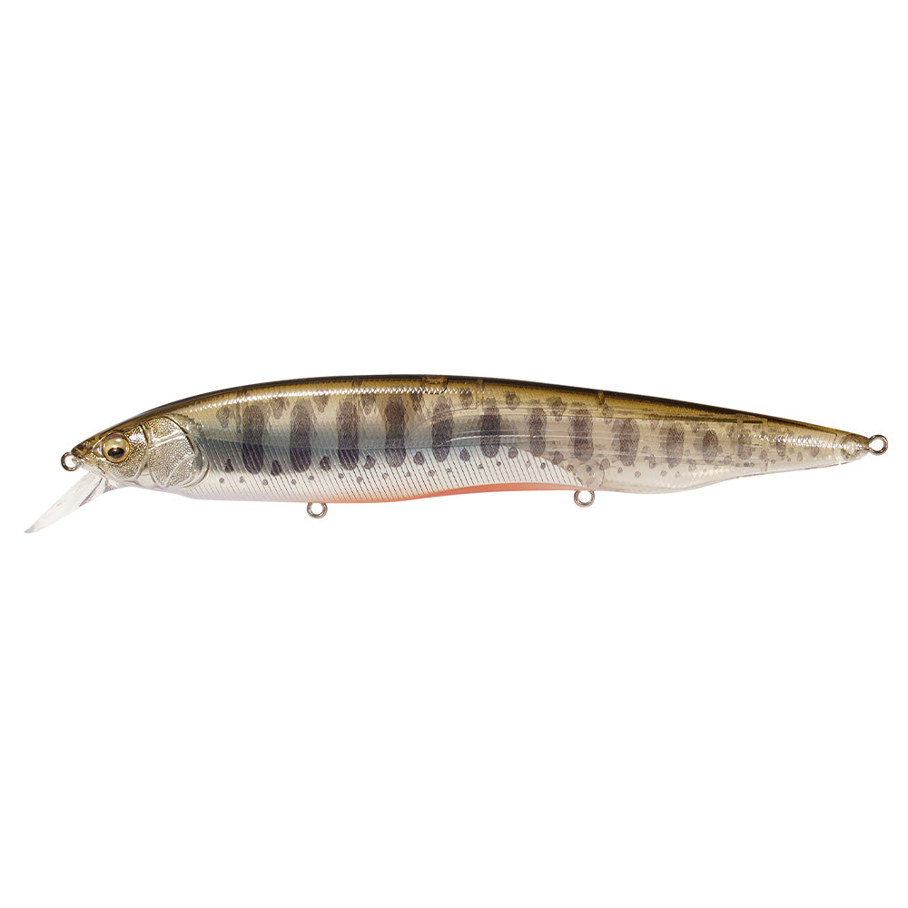Megabass Kanata