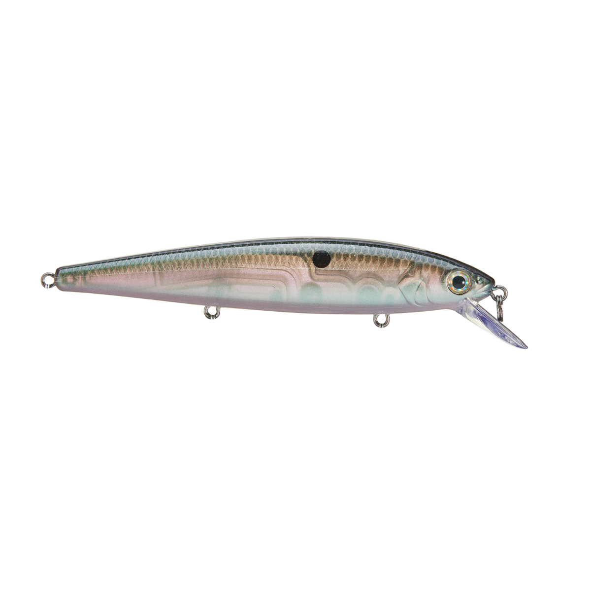 Strike King KVD 300 Jerkbait