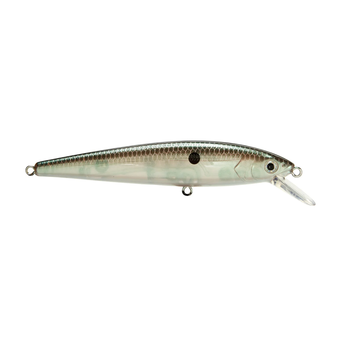 Strike King KVD 200 Jerkbait