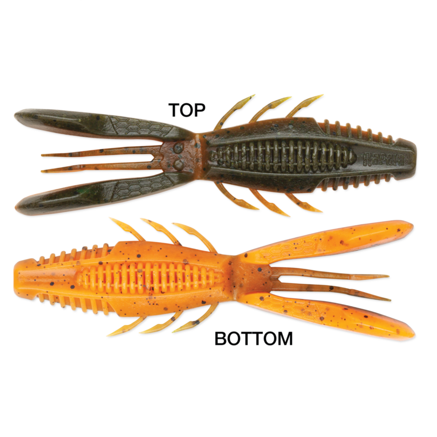Rapala CrushCity Bronco Bug - 4"