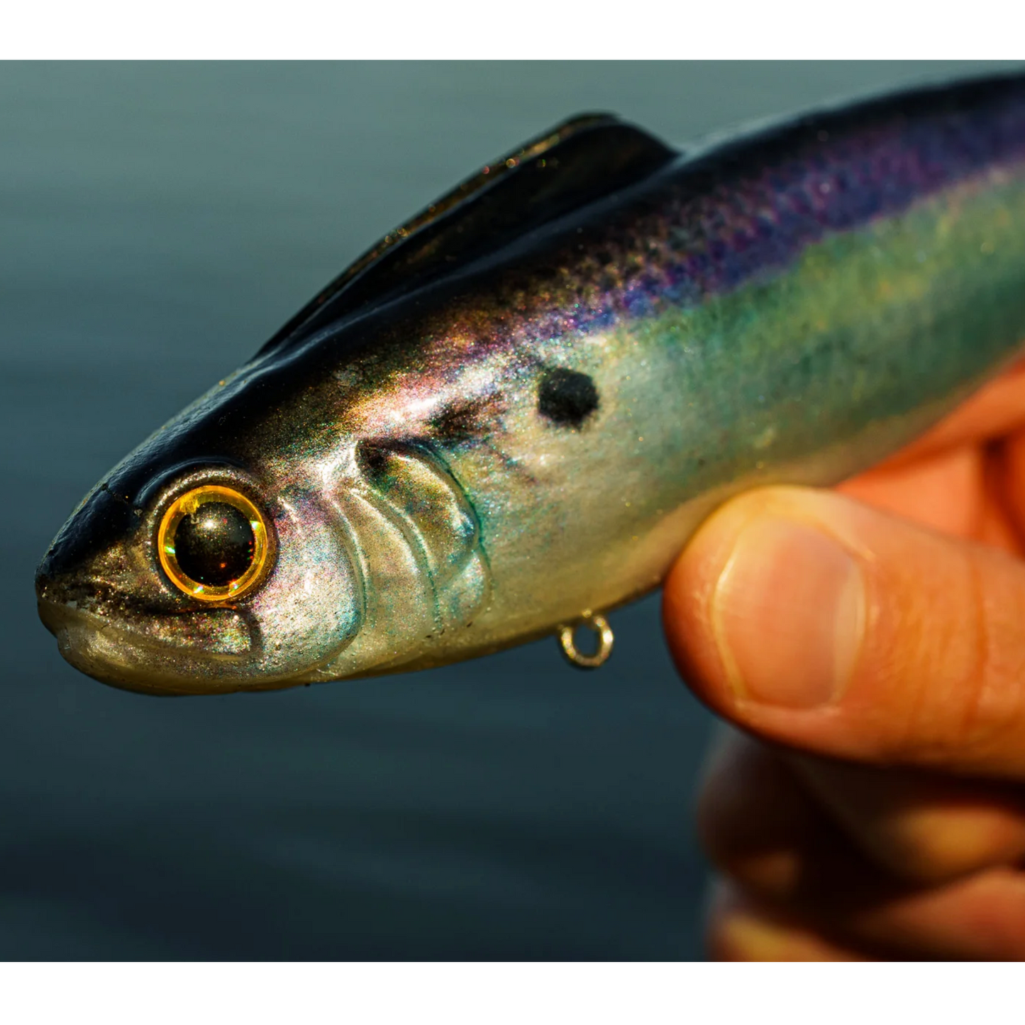 6th Sense Hangover Swimbait