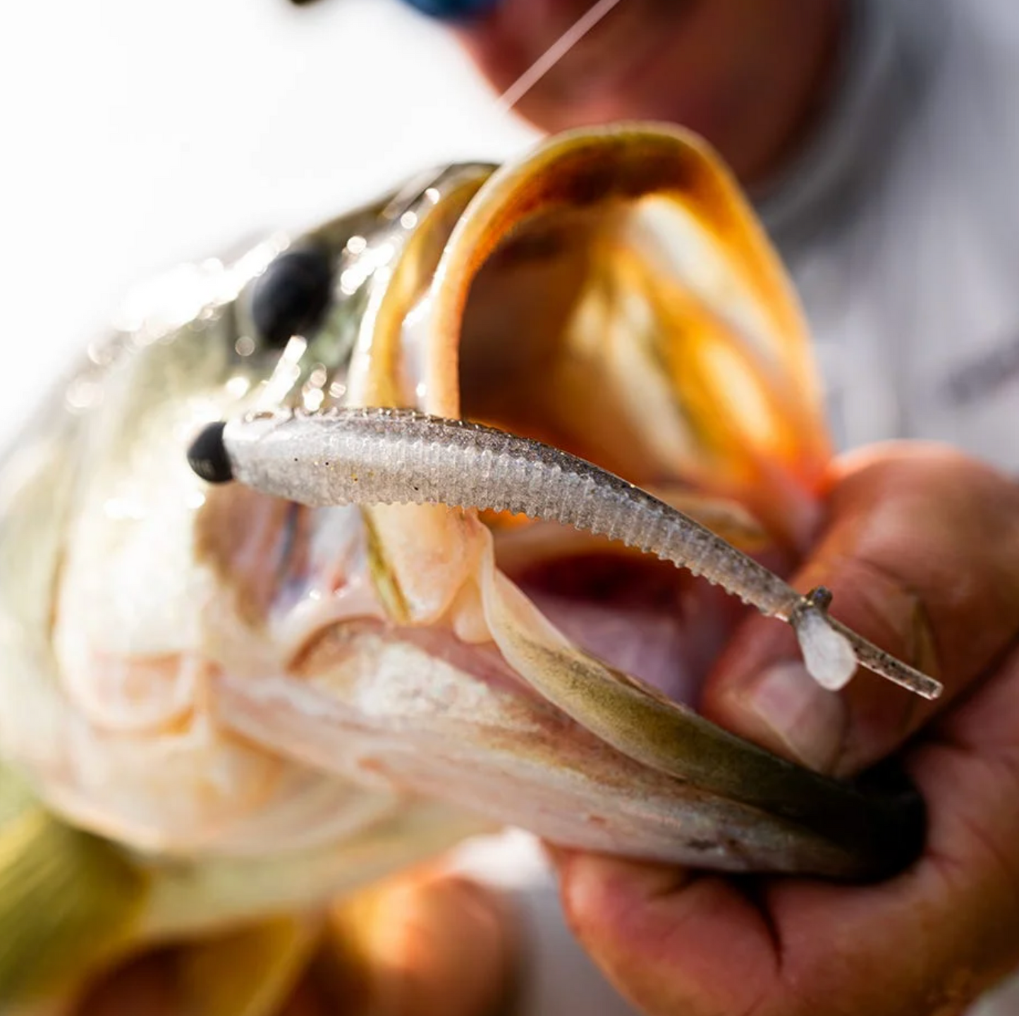 Rapala CrushCity Mooch Minnow