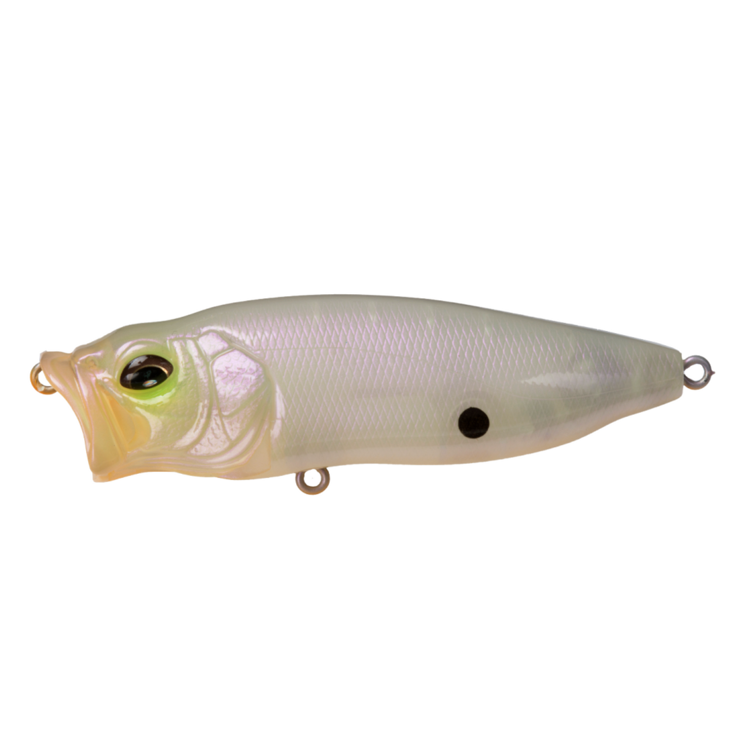 Megabass Popmax Topwater Popper