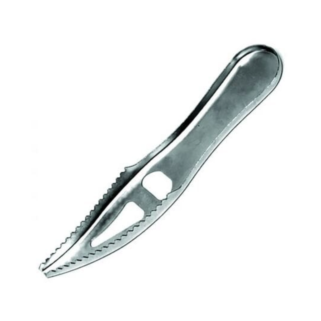 Eagle Claw Fish Scaler 7"