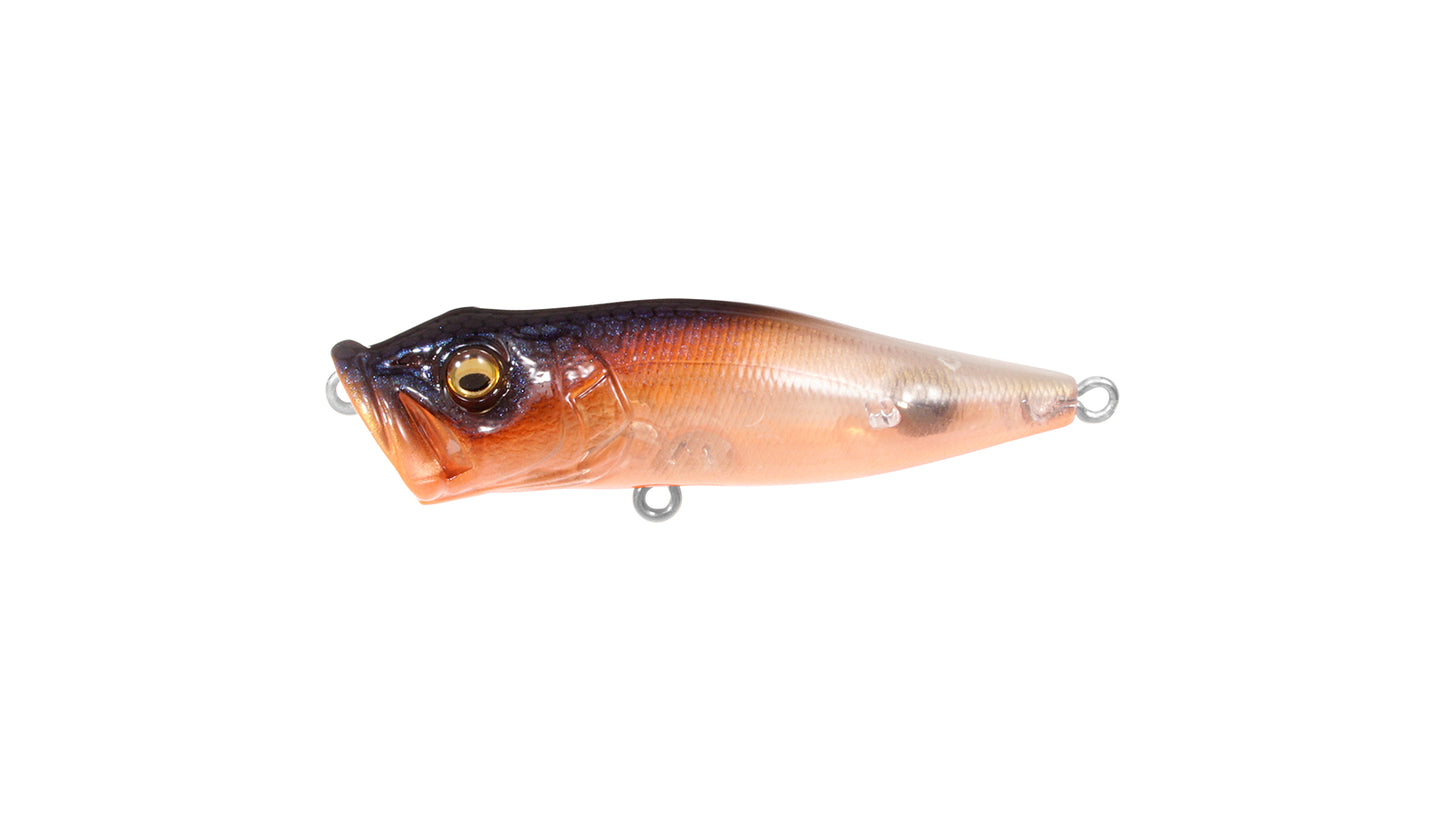 Megabass Pop-X Topwater Popper