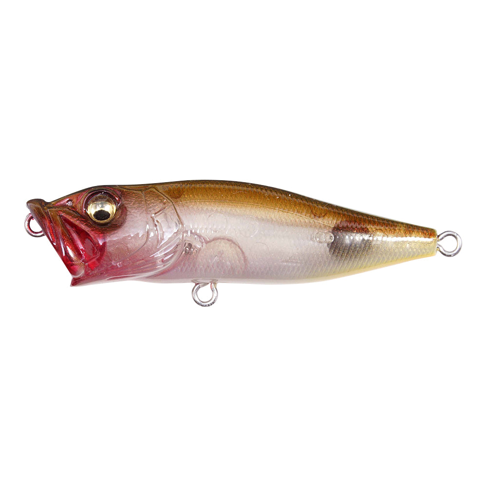 Megabass Pop-X Topwater Popper