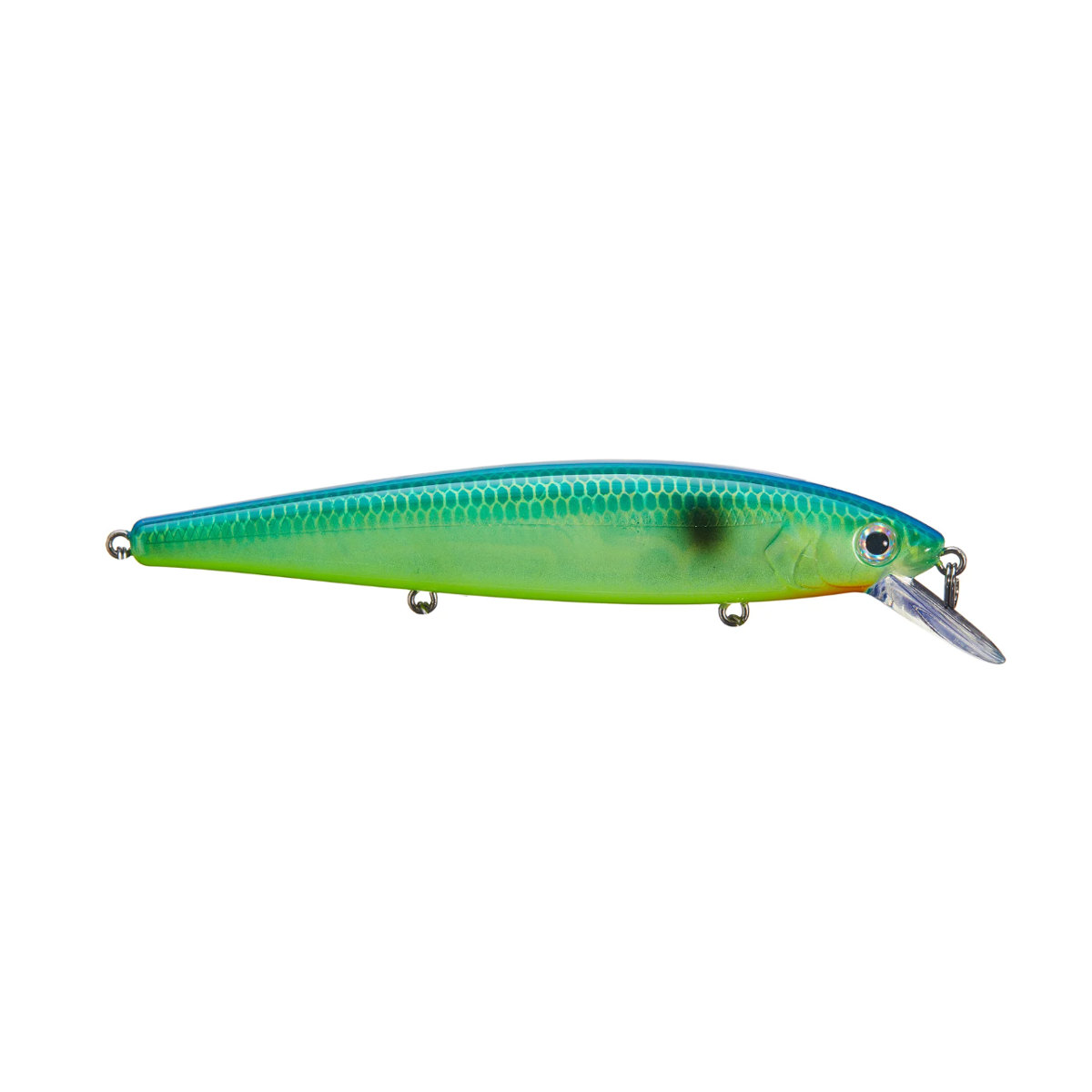 Strike King KVD 300 Jerkbait