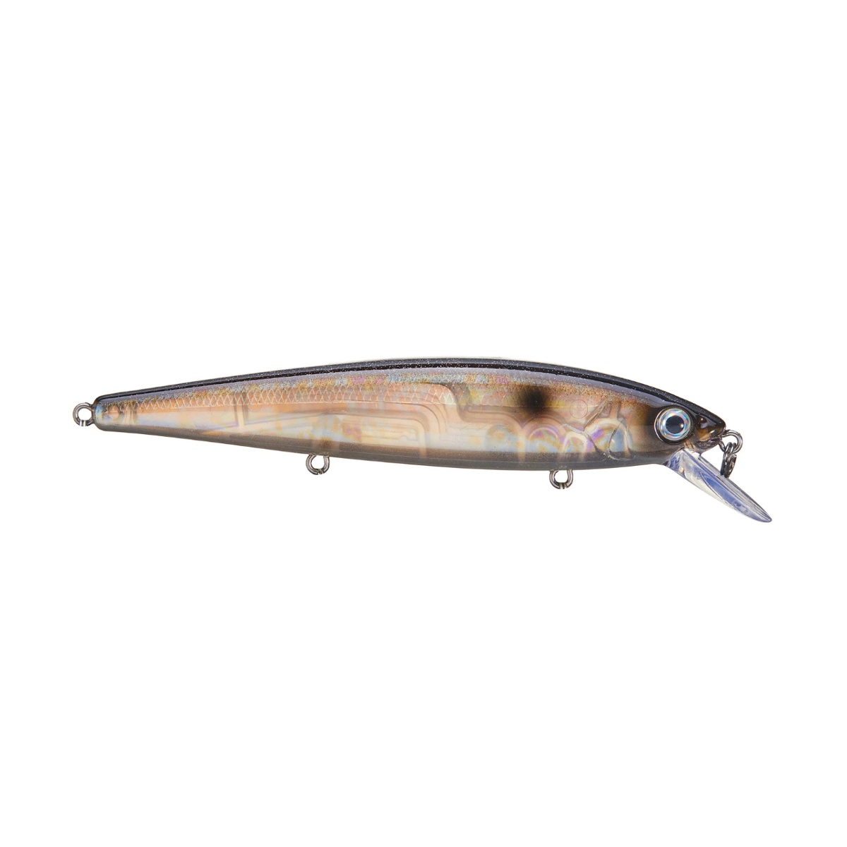 Strike King KVD 300 Jerkbait