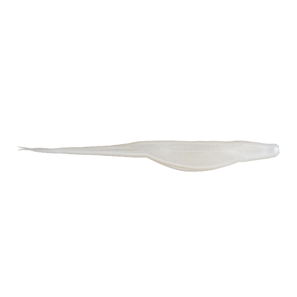 Zoom Salty Super Fluke - 5"