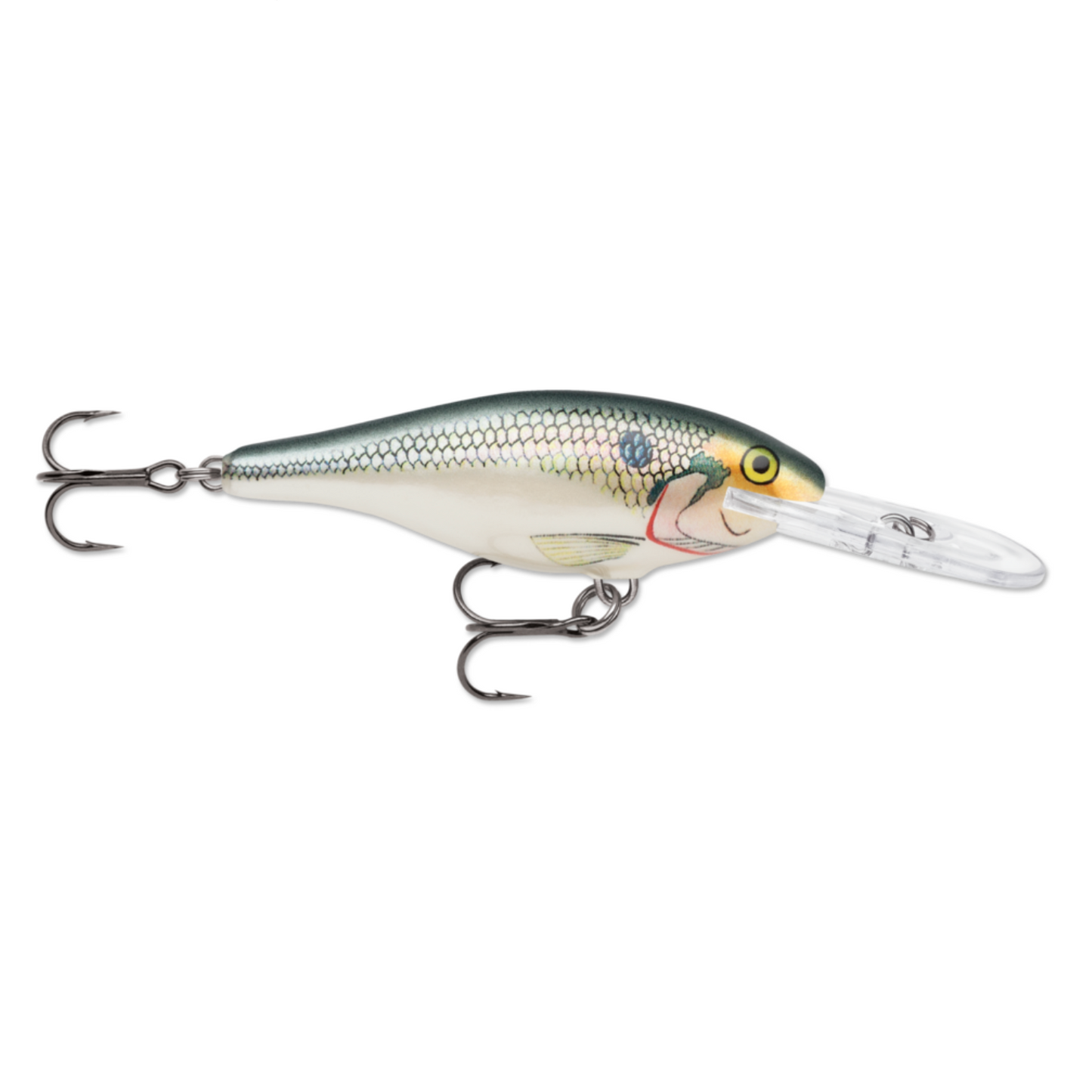 Rapala Shad Rap