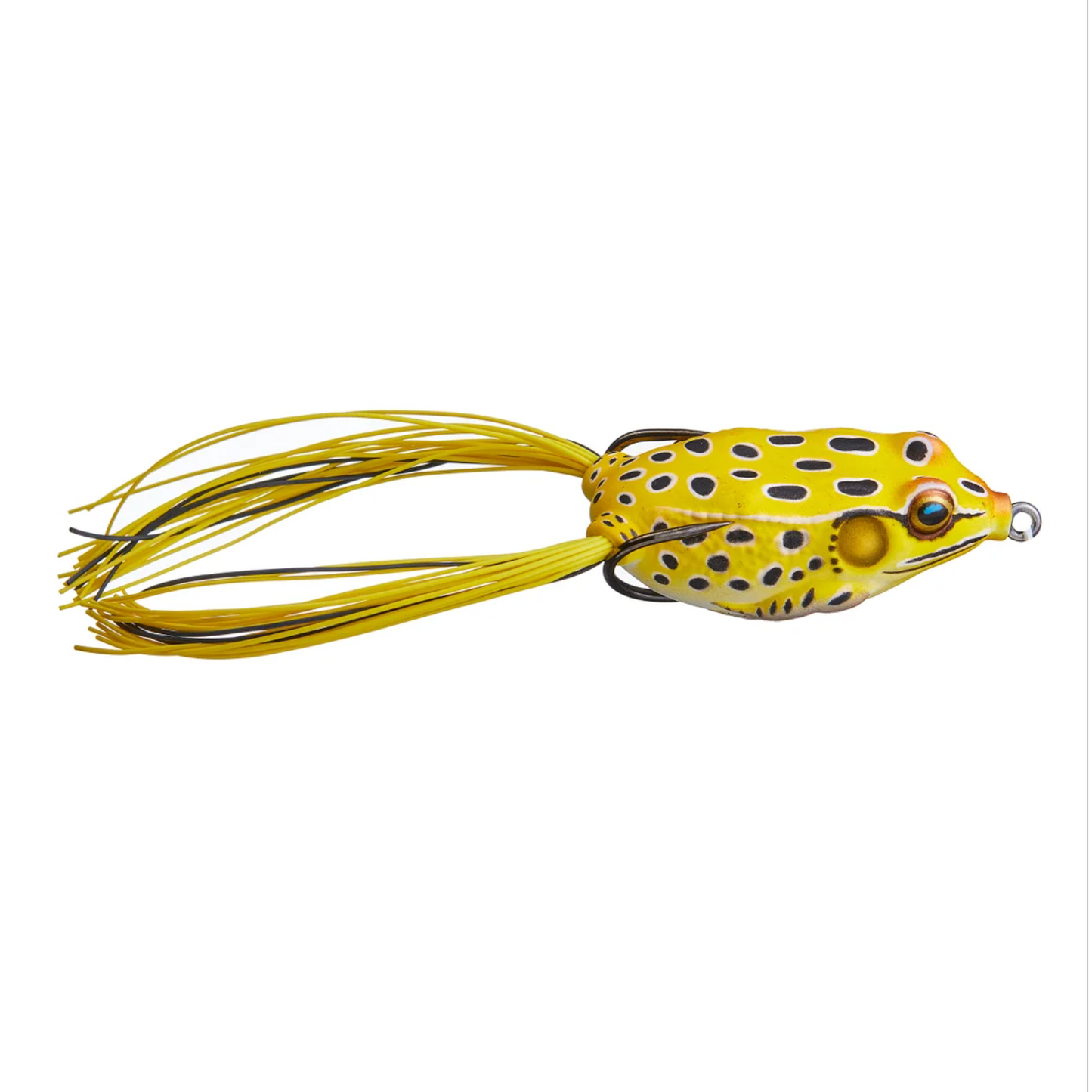 Live Target Frog