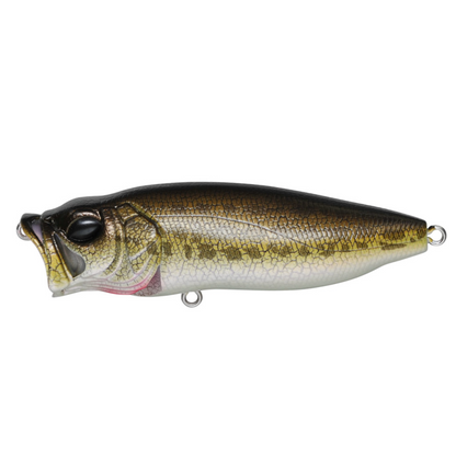 Megabass Popmax Topwater Popper