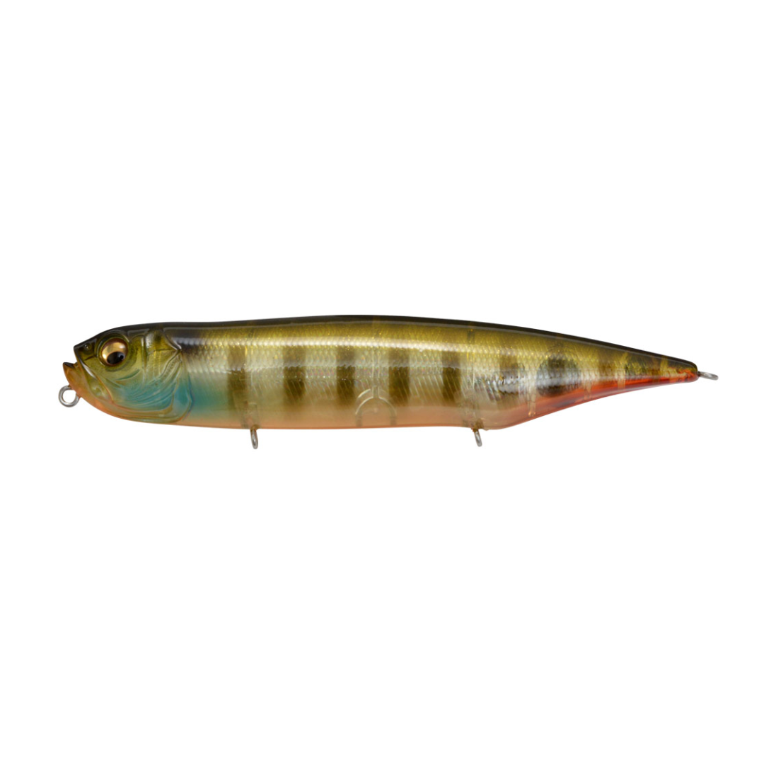 Megabass Dog-X Diamante (Rattle) Topwater