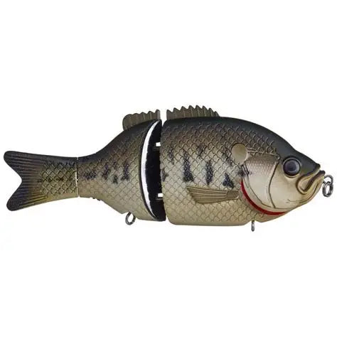 Baitsanity Explorer Gill Glide Bait