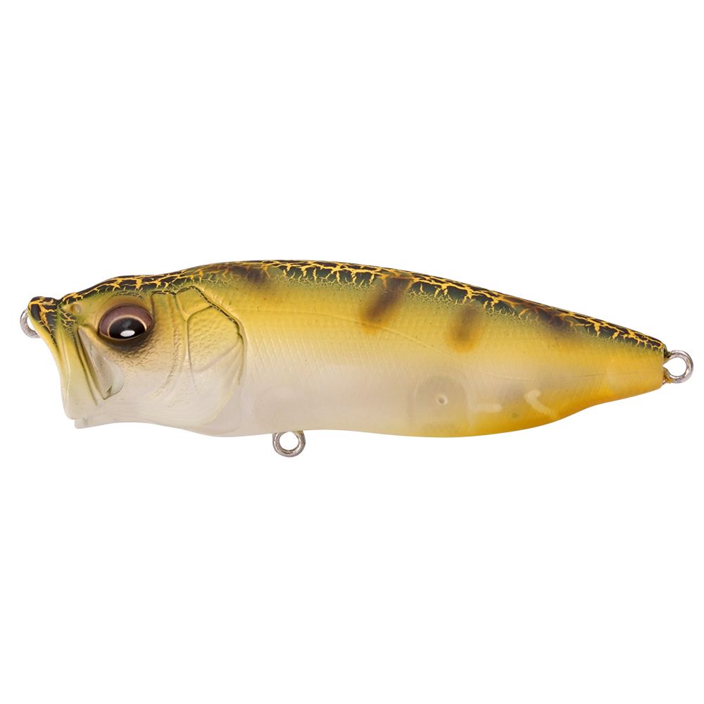 Megabass Popmax Topwater Popper